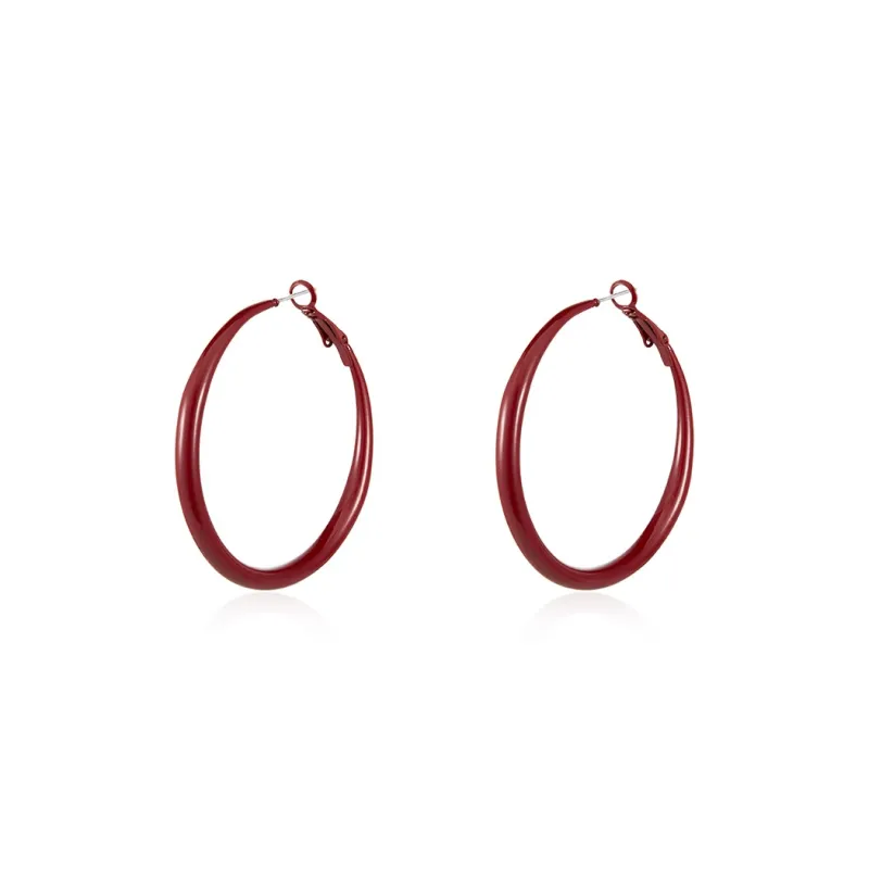 LOOK NICE 925 Sterling Silver Needle Earrings Women's Packaging-3