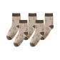 Bear Wireframe, 5 Pack