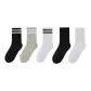 [Fall Winter Terry]Double Stripe Mixed Color 5 Pack