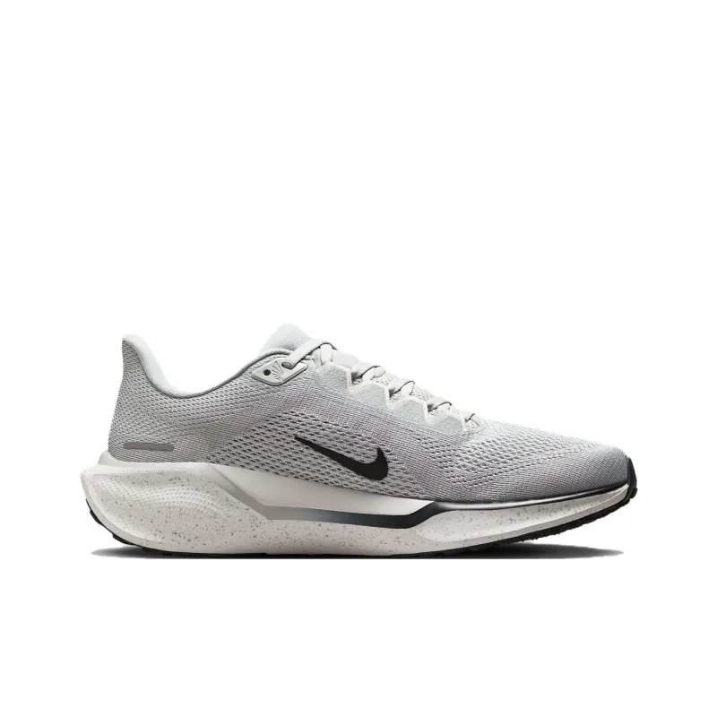 Nike Pegasus 41 Light Smoke Grey Platinum Tint Dark Raisin Black Women's-1