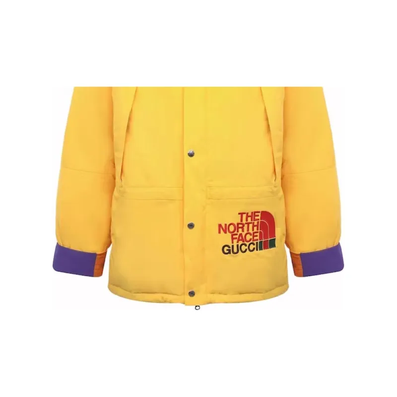 GUCCI X The North Face Down Jacket-2