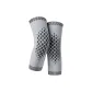 Gray Mugwort 1 Pair