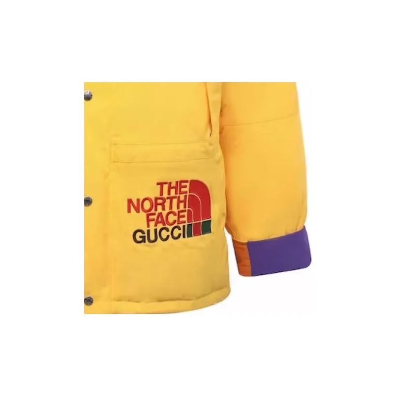 GUCCI X The North Face Down Jacket-3