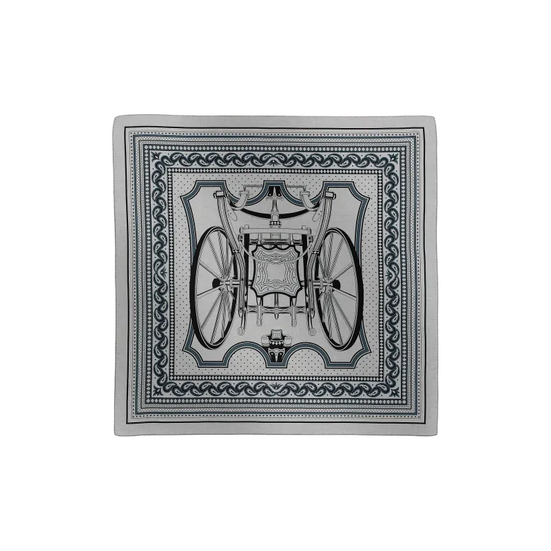 HERMES Cashmere, Mulberry Silk Shawls Unisex Gray-0