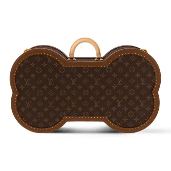 LOUIS VUITTON Bone Trunk
