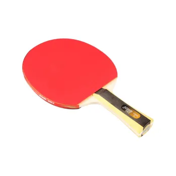 DHS Ping Pong Paddles