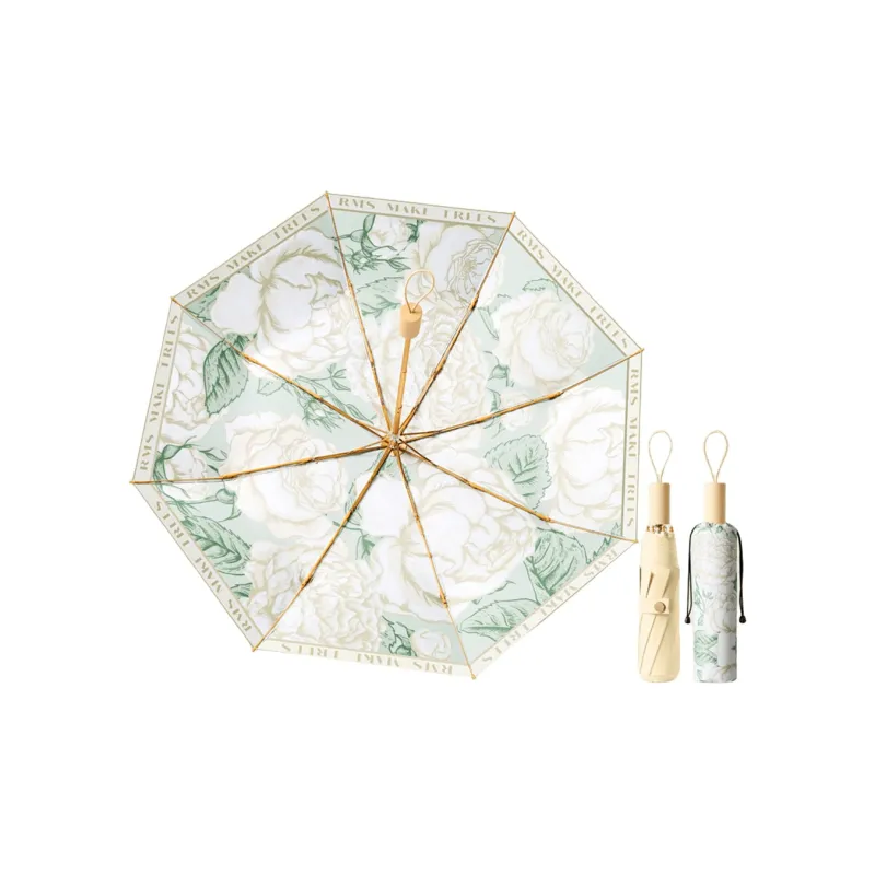 A good thing Umbrellas-3
