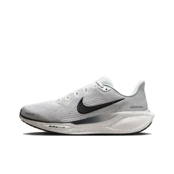 Nike Pegasus 41 Light Smoke Grey Platinum Tint Dark Raisin Black Women's