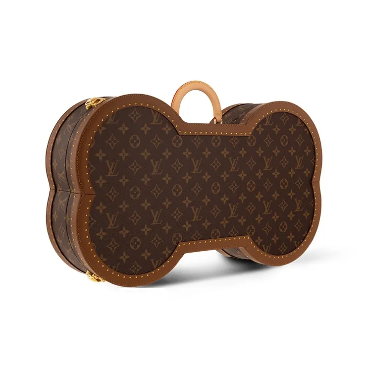 LOUIS VUITTON Bone Trunk-1
