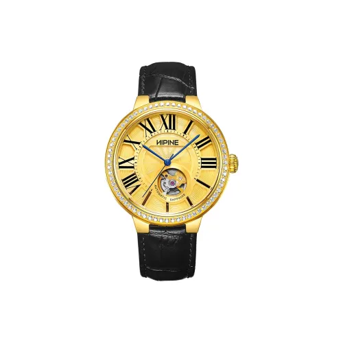 HIPINE 오토매틱 메커니컬 무브먼트 남성 중국 시계 42MM 골든