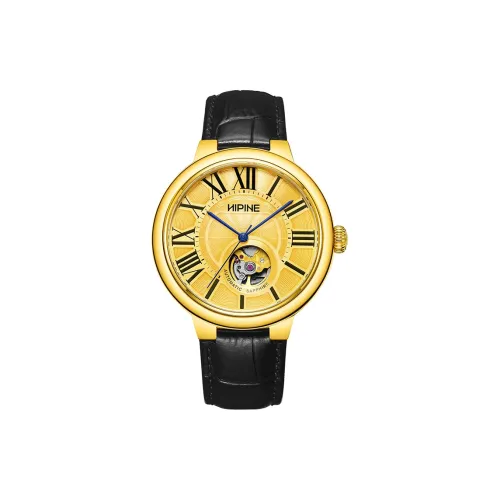 HIPINE 메커니컬 무브먼트 남성 바람 시리즈 중국 시계 42MM 골든