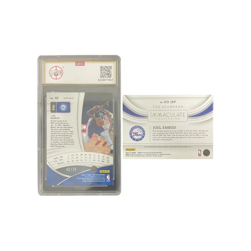 PANINI Graded Cards-1