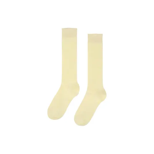 FILA Eschape Knee-High Socks Women's 1 Pack Yellow