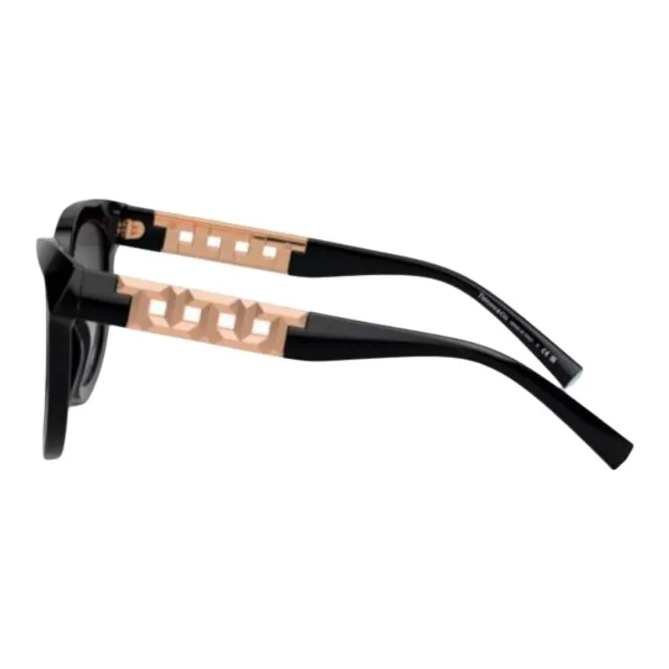 TIFFANY & CO. Cat-Eye Frame Sunglasses-2