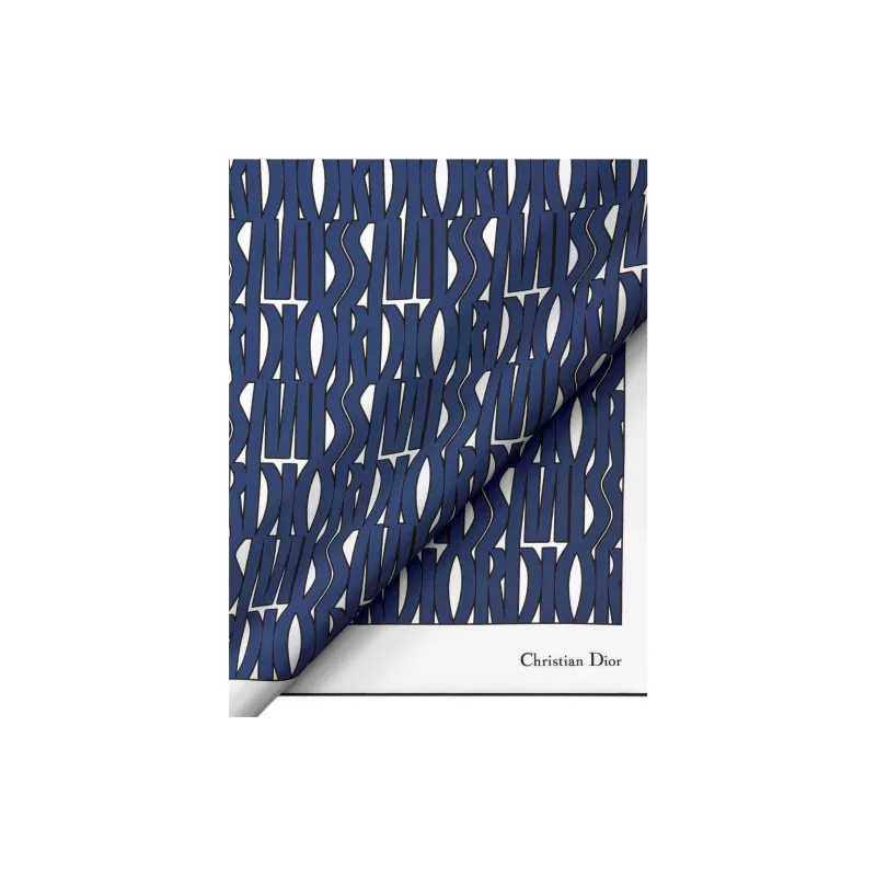 DIOR Silk Silk Scarves Women's Blue-1