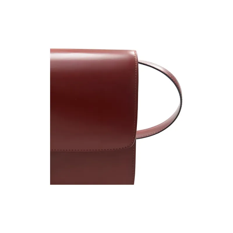 CELINE Classic Bo Cow Leather Tofu Bag Small Square Bag Shoulder Bag Crossbody Bag Medium Size Women's Red Brown-3