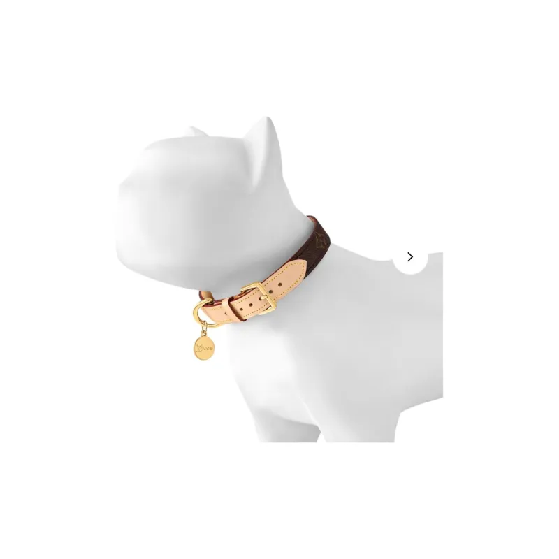LOUIS VUITTON Dog Collar Medium Size-1