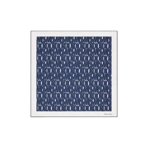DIOR Silk Silk Scarves Women's Blue