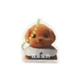 Little Nose Clip