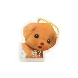 Little Nose Clip