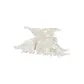 Porcelain White Butterfly Acetate Claw Clip Fs-338.ebA