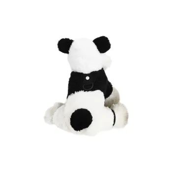 Pampering Pet Clothing