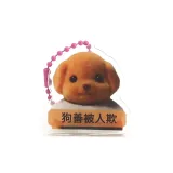 Little Nose Gag Dog Is Easily Tricked Hair Clip
