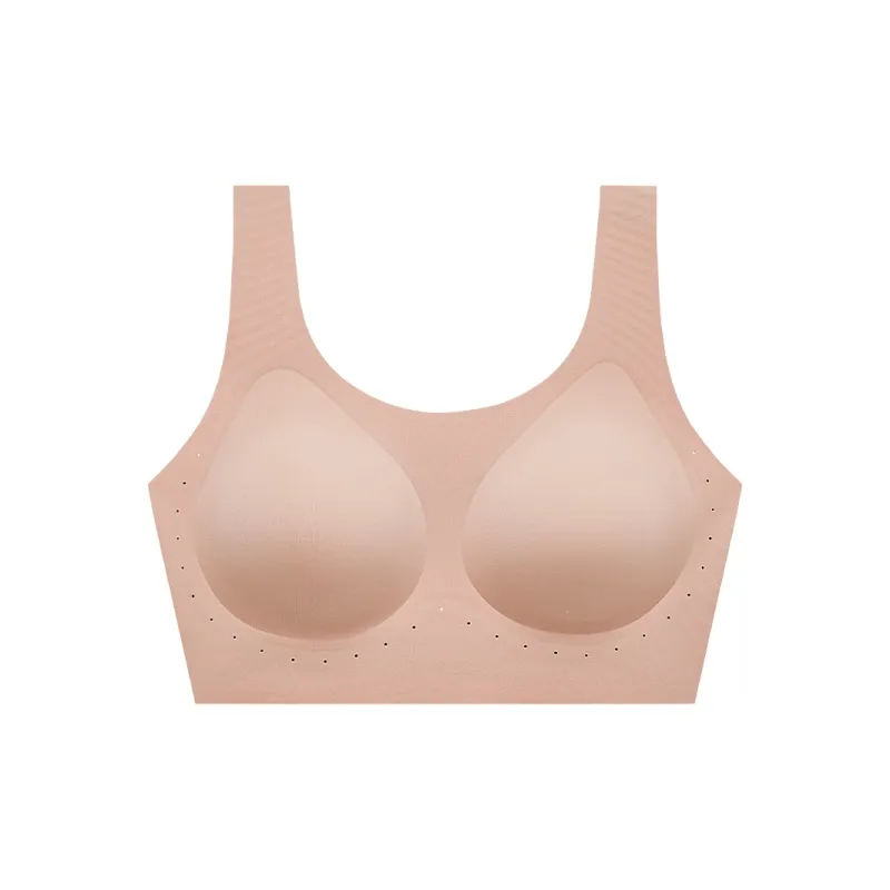 Herbal primer Women's Bras-1