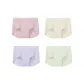 Ice Green+Orchid Smoky+Soft Gray Purple+Porcelain Skin