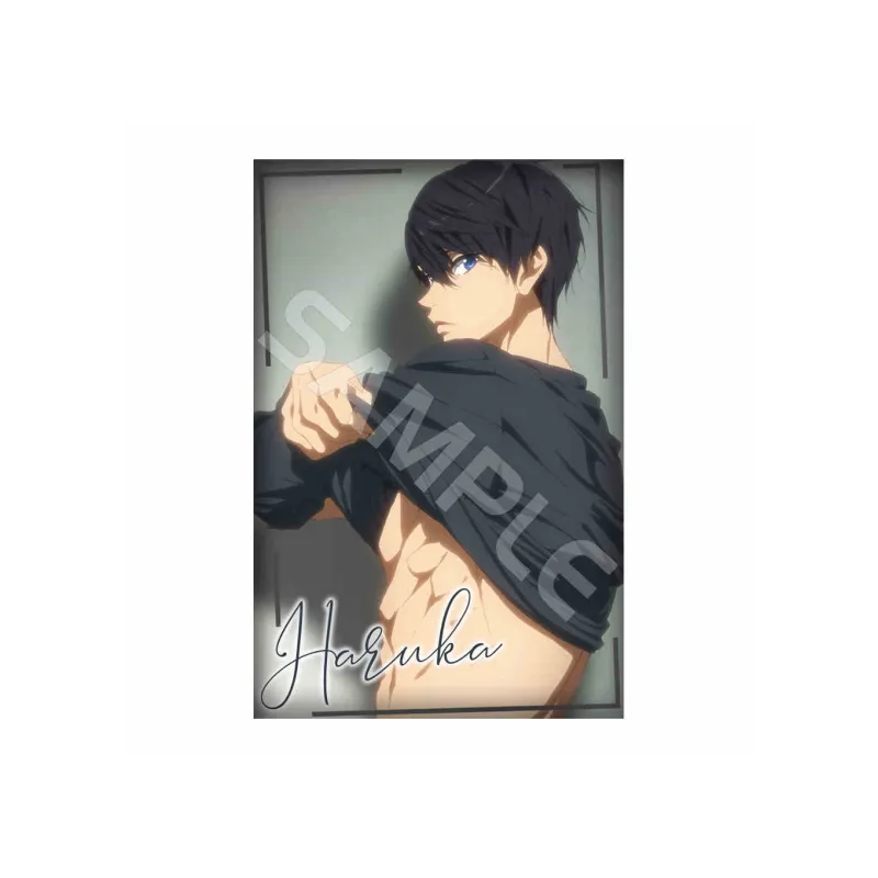 Xhdm Free! Lens Collection Haruka Nanase Model Anime Artboard Prints-0