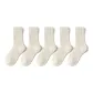 5 Pack White[5 Pack, Thickened Thermal Plush Socks]