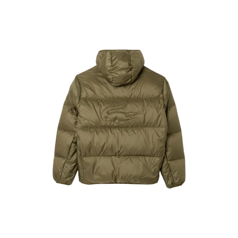 LACOSTE Down Jacket Men's Olive Green-1