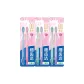 Crystal Soft Bristle Toothbrush *6 Pcs (Random Color)