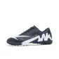 Z-2032 Black Turf