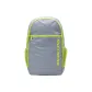 Oyster Gray