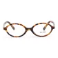 Tortoiseshell