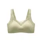 LS-161/Fruit Green/Single Pack