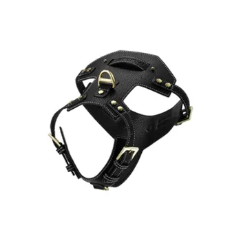 MARS MALL Leashes