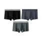 Black+Swallowtail Blue+Graphite Gray