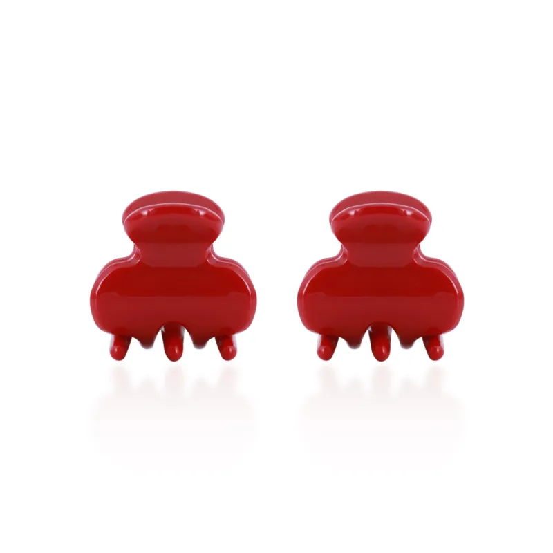 ZANC Acrylic Hair Clips Women's-4