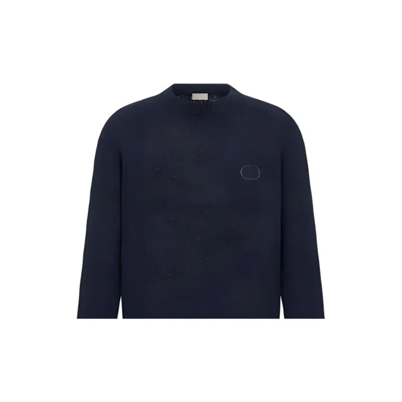 DIOR Quarterly New Products Sweaters Men Blue-4