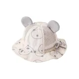 Gray (Suggestion 6~36 Months)