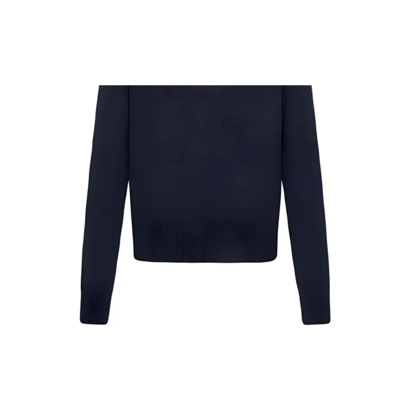 DIOR Quarterly New Products Sweaters Men Blue-3