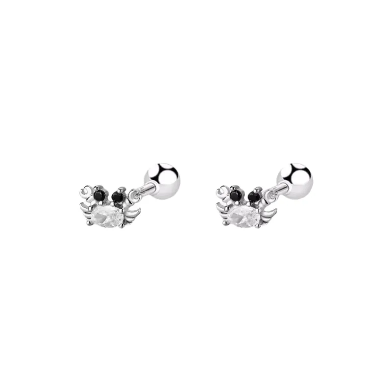 BKBU 990 Foot Silver Zircon Stud Earrings Unisex-0