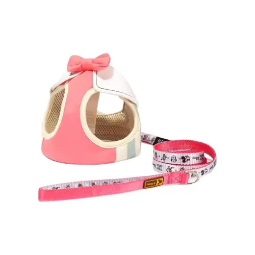 Disney Leashes