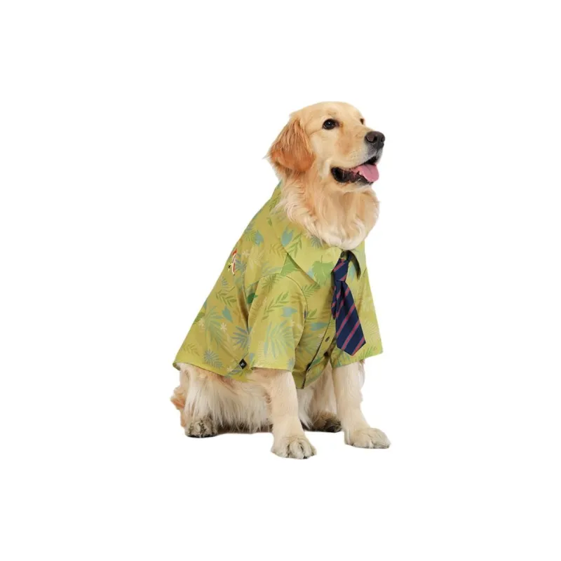 Disney Pet Clothing-1