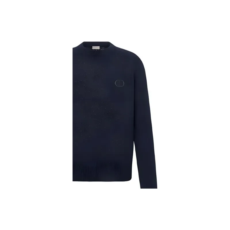 DIOR Quarterly New Products Sweaters Men Blue-5