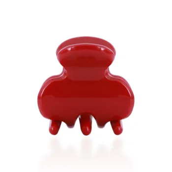 ZANC Acrylic Hair Clips Women's