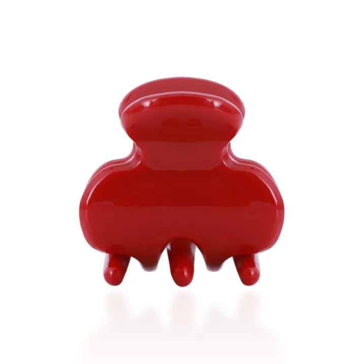 ZANC Acrylic Hair Clips Women's-0