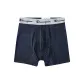 Navy Blue Mixed Color